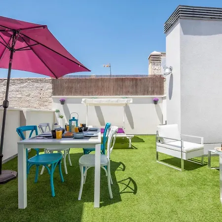 Apartment Atico Terraza Privada Piscina Centro Ac Nuevo 1hab